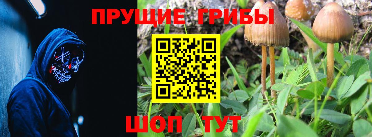Псилоцибиновые грибы Cubensis  Вход с VPN  Беслан 